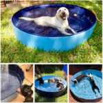 Portable and Foldable Pet Cat/Dog Pool PVC Plastic Pool - Image 7
