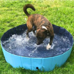 Portable and Foldable Pet Cat/Dog Pool PVC Plastic Pool - Image 6
